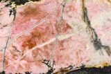 Polished Rhodonite Slab - Northern BC #112721-1